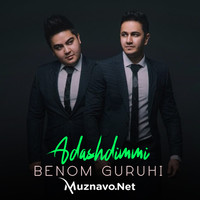 Benom guruhi - Adashdimmi